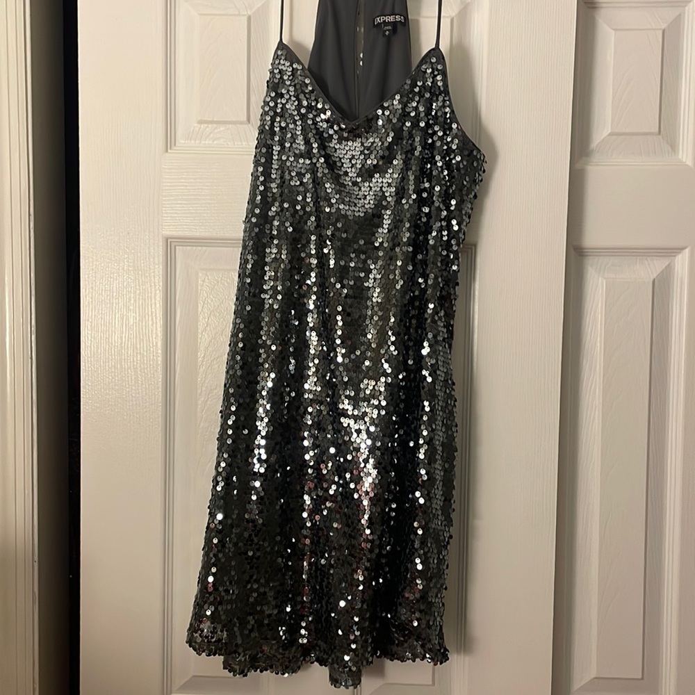Silver Sequin Express Dress